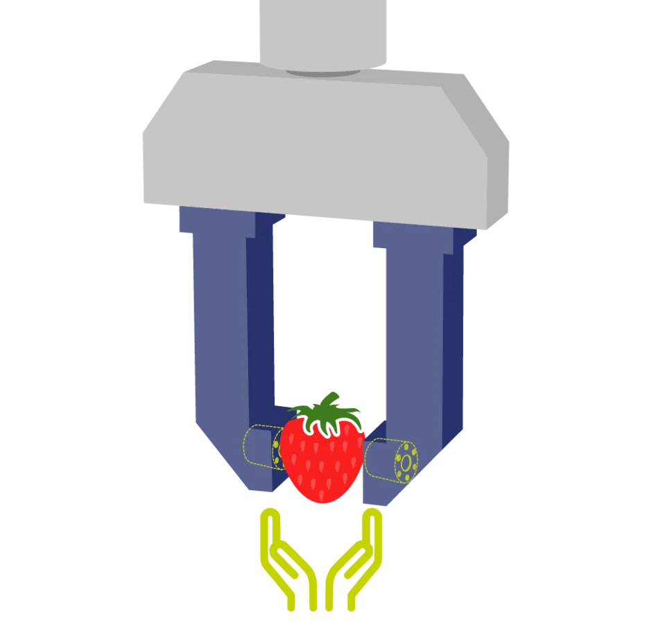 Robot gripper gently holding strawberry while measuring force for delicate object handling