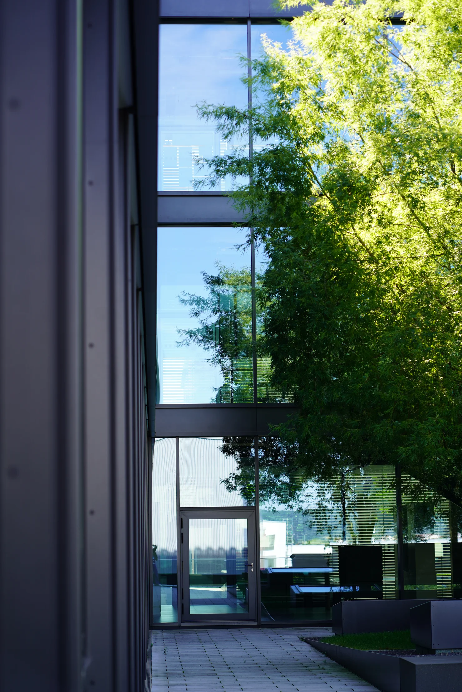 Modern Office Building Exterior with Glass Facade